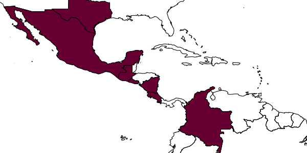 map of Forelius damiani     Guerrero & Fernández, 2008